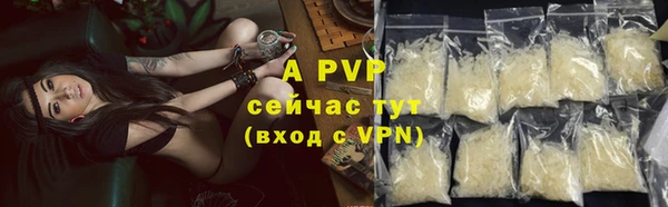 крисы Аркадак