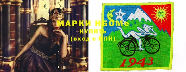 крисы Аркадак