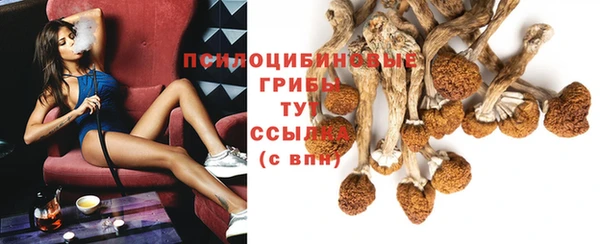 синтетический гашиш Армянск