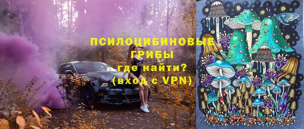 крисы Аркадак