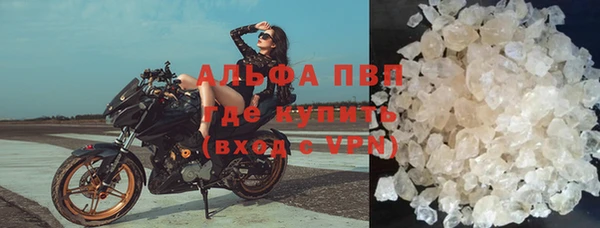 крисы Аркадак